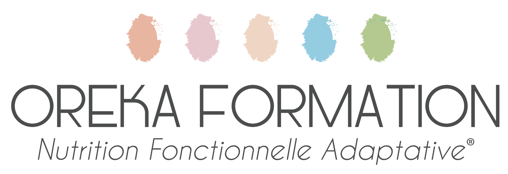 Oreka Formation